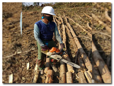 Kegiatan Pemanenan AHL