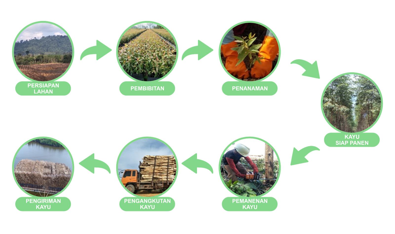 Bussiness Process PT. AHL